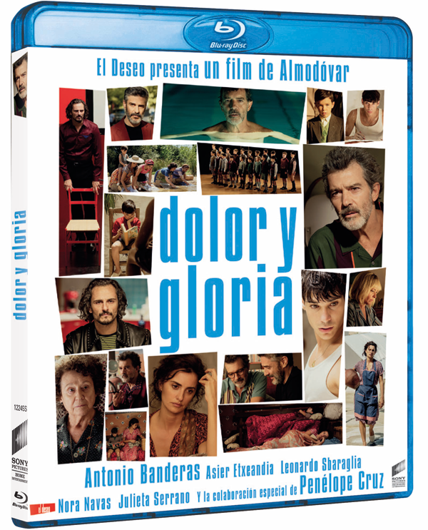 Dolor y gloria representará a España en la 62 edición de los Premios Ariel