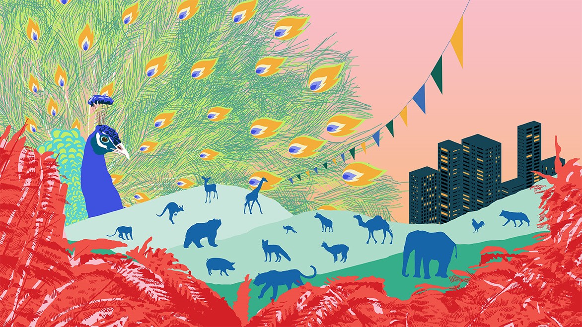 FilMadrid lanza, junto a La Casa Encendida, el ciclo online FILMADRID ON