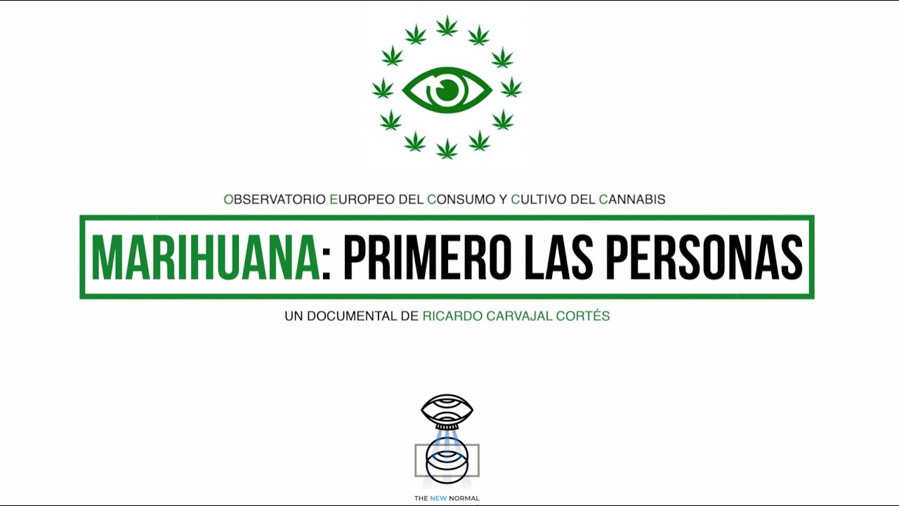 'Marihuana: Primero las personas', el pasado, presente y futuro del cannabis en España