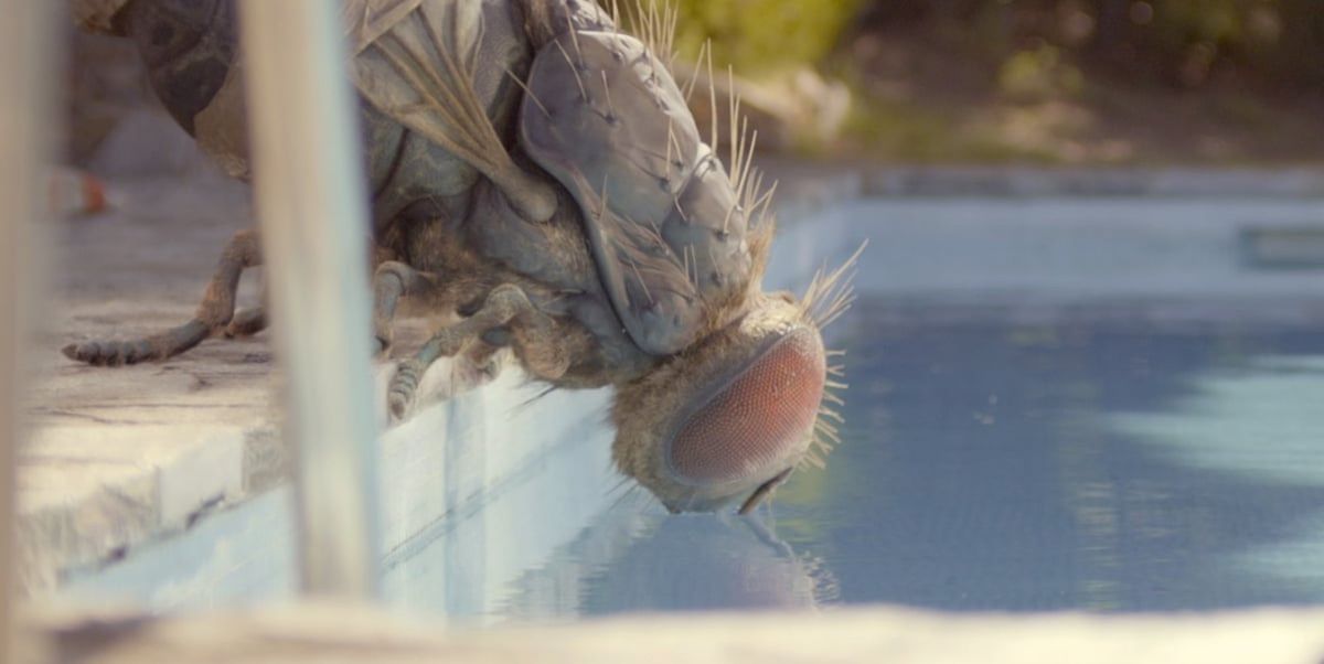 'Madíbulas' gana el Premio del Público al Mejor Largometraje en el FANCINE 2020