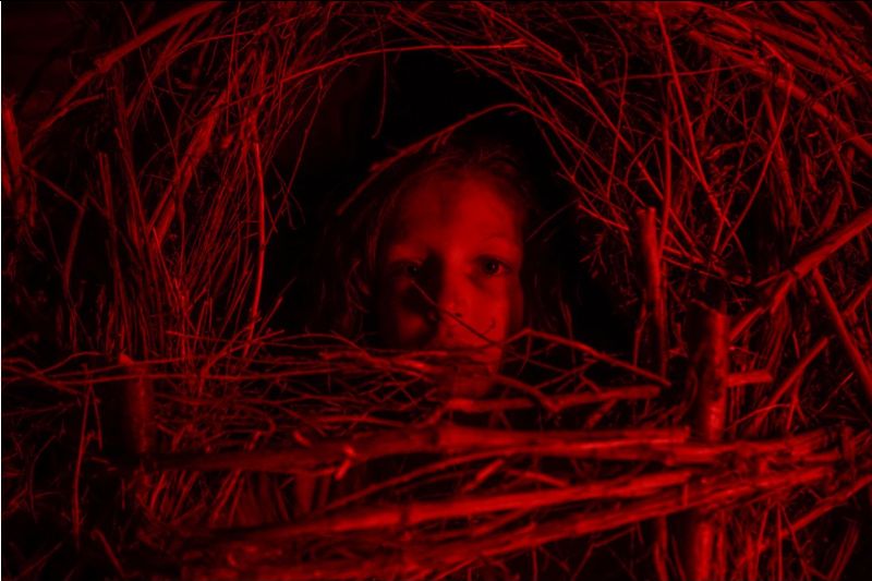 Prepárate para sudar de miedo con Netflix