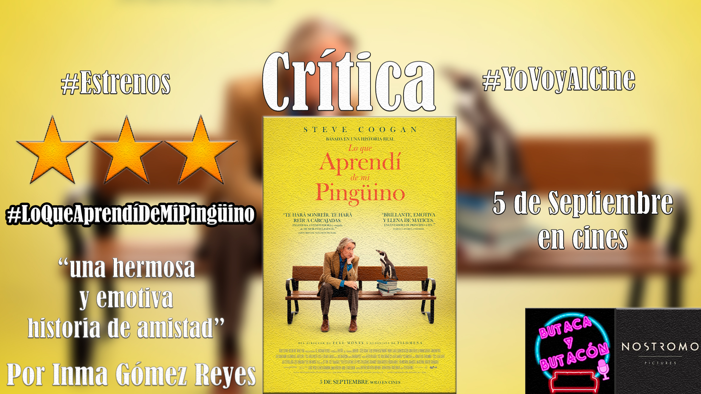 'Lo que aprendí de mi pingüino': Una emotiva historia de amistad